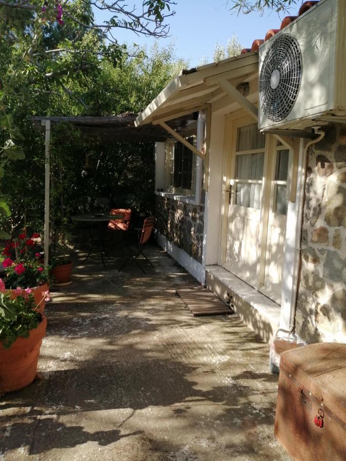 Arcadia Eressos Hotel Exterior photo